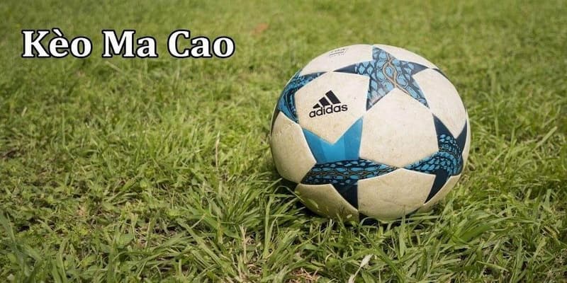 Tỷ lệ bóng đá Ma Cao là gì?